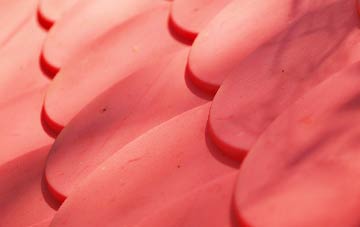 Warpsgrove plastic roof costs