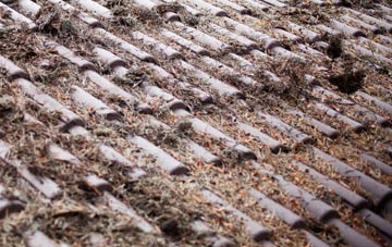 Warpsgrove roof cleaning companies