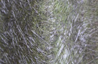 Warpsgrove fibreglass roof work